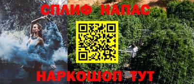 прущие грибы Апшеронск