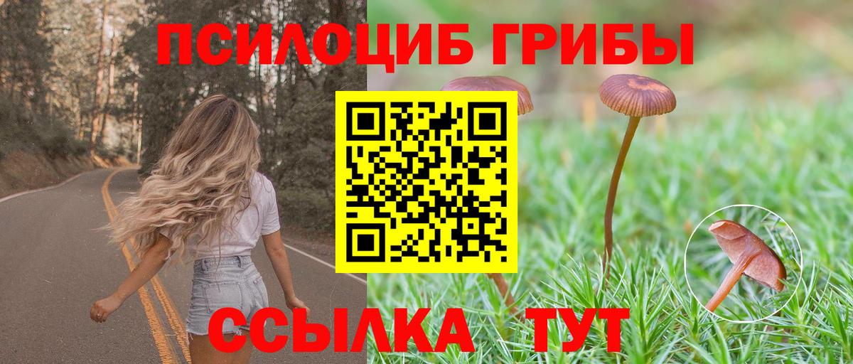 Нерюнгри  Псилоцибиновые грибы Magic Shrooms  Вход с VPN  Псилоцибиновые грибы ЛСД 